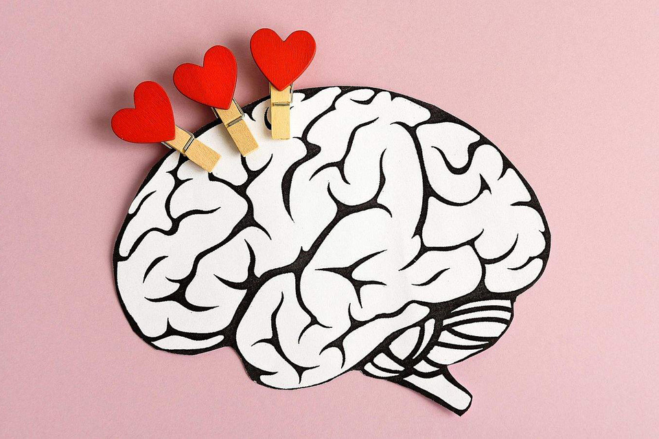 Un estudio devela dónde reside el amor en el cerebro y cómo se activa thumbnail