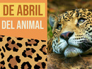 Día del Animal