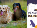 Día Nacional del Perro