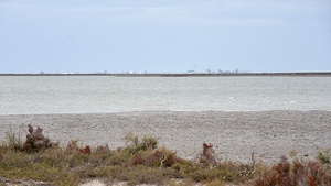 Creimer indicó cómo debería hacerse el registro en el lugar donde fue hallado el cuerpo. (Fuente: Télam)