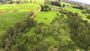 El 80% de los campos en explotación no son trabajados por sus dueños, que viven de sus rentas.