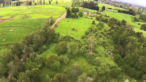 El 80% de los campos en explotación no son trabajados por sus dueños, que viven de sus rentas.