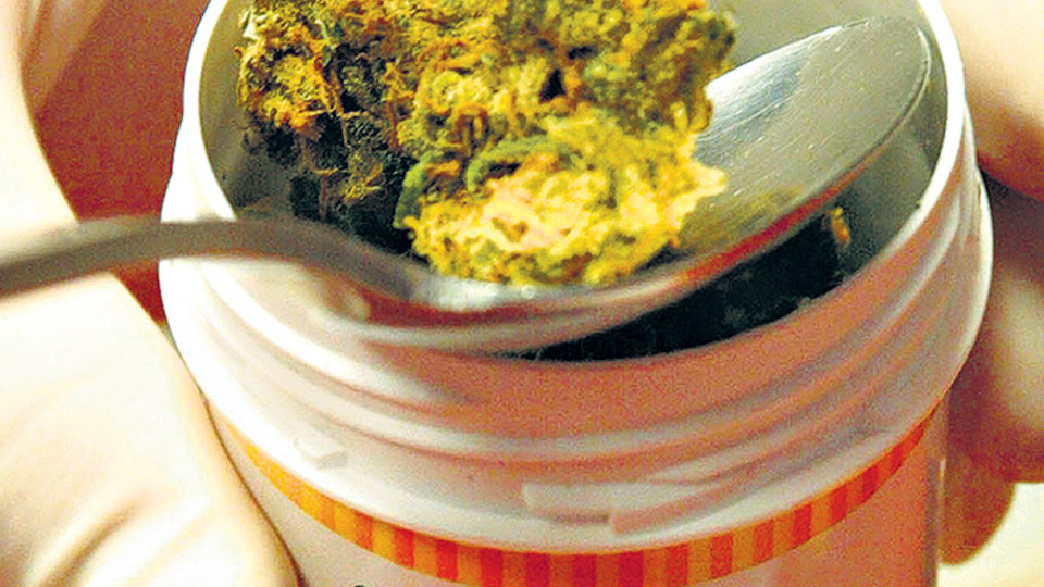 Por la reglamentación de la ley de cannabis medicinal