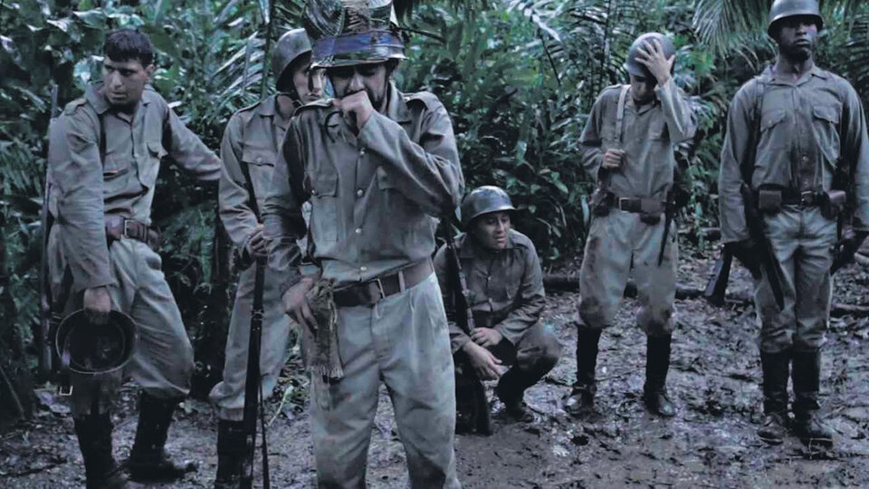 A sus plantas rendido un León León Mono con gallinas, coproducción