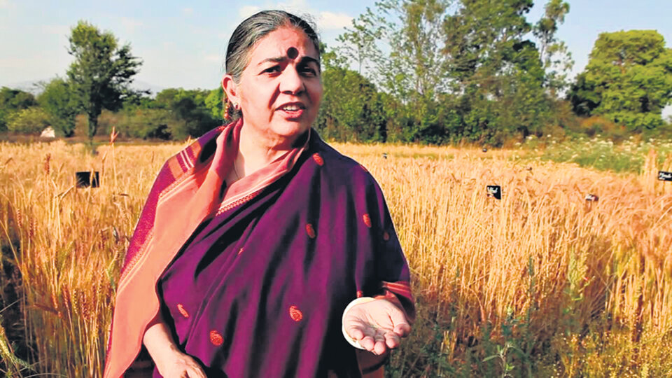 Vandana Shiva pidió ser considerada como amicus curiae para opinar sobre la soja de Monsanto.