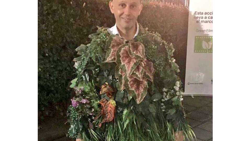 El único brote verde