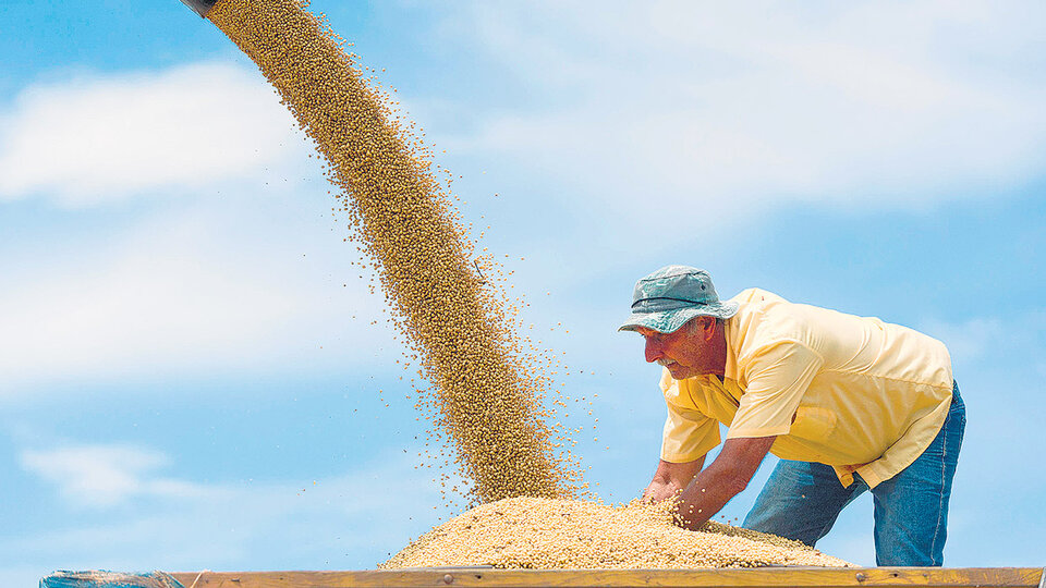 Los productores ya no tendrán la obligación de traer los dólares que genera el suelo argentino.