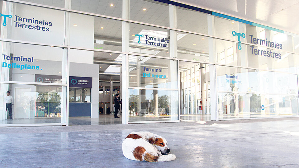 Pasaron tres trimestres desde la inauguración y por ahora el espacio de la nueva terminal tiene algún que otro visitante.