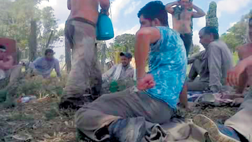 Los trabajadores santiagueños provenientes de Salavina en el campo bonaerense de Advanta.