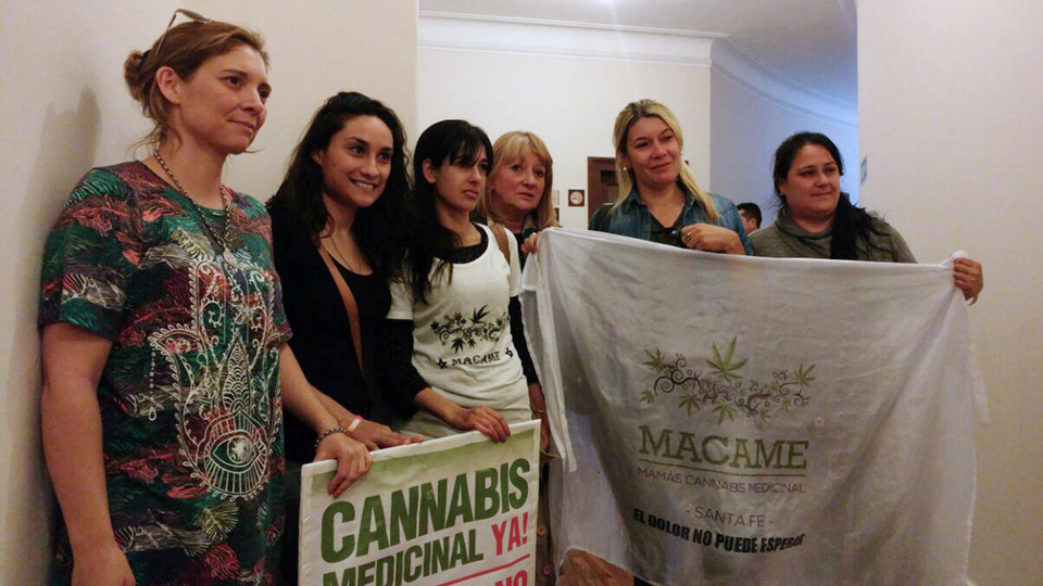 Familiares de pacientes impulsaron la ley de cannabis y ahora celebran el avance del LIF.
