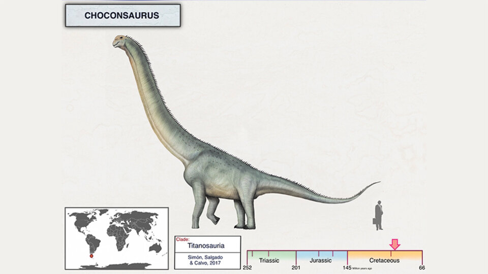 El Choconsaurus era herbívoro y alcanzaba una altura similar a la de un tercer piso.