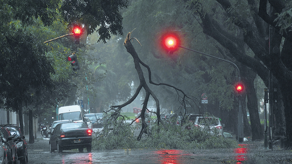 Imágenes increíbles tras el paso del temporal en una de las calles porteñas.