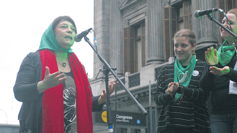 Liliana Herrero unió a través del pañuelo verde dos aspectos de la “lucha por la vida”.