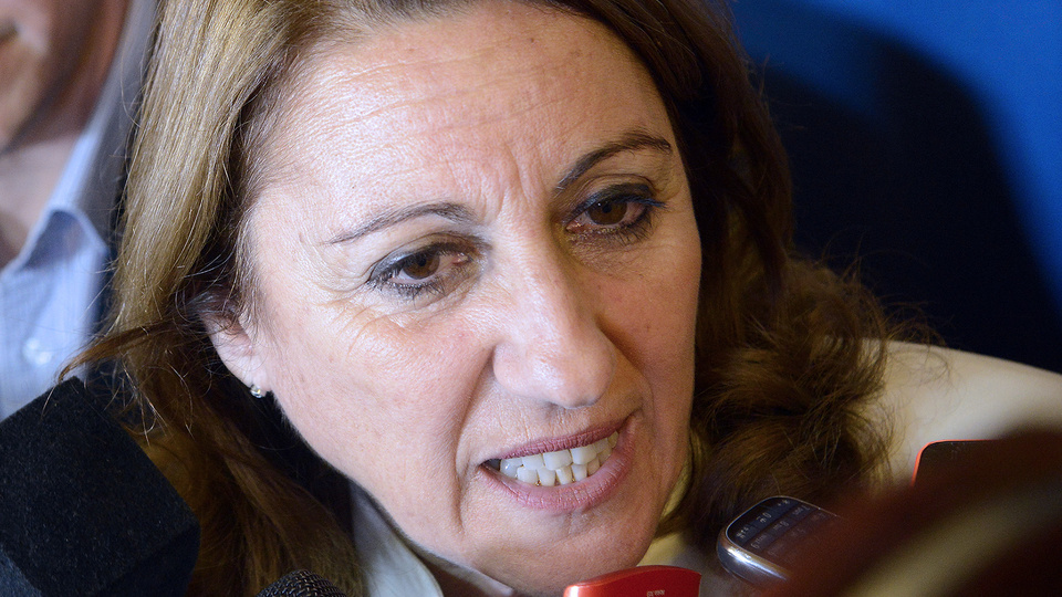 "Para regularizar un partido, nunca el camino es el de una intervención judicial", dijo Fein