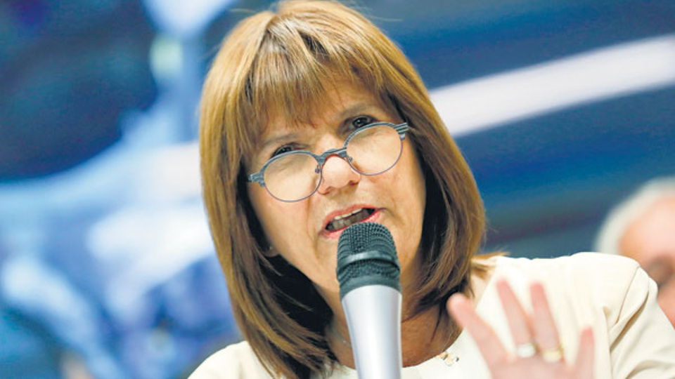 La ministra de Seguridad, Patricia Bullrich, quiere darles mÃ¡s protagonismo a las Fuerzas Armadas.