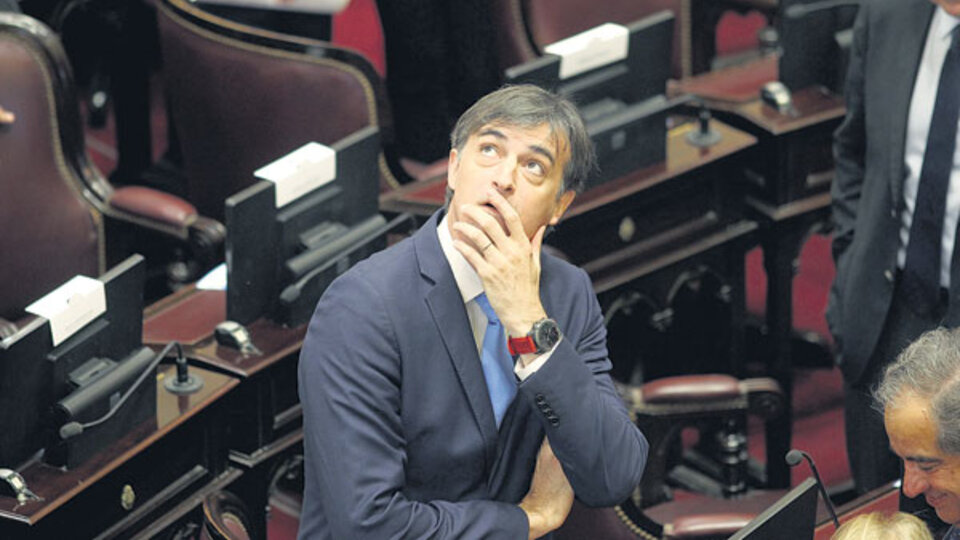 Puiggrós es doctora en Educación y participó de la investigación de Ctera, ahora plasmada en el libro La privatización educativa en Argentina.