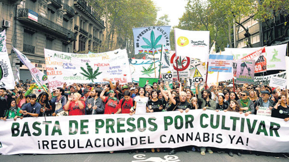La marcha en Buenos Aires puso el foco en el autocultivo.