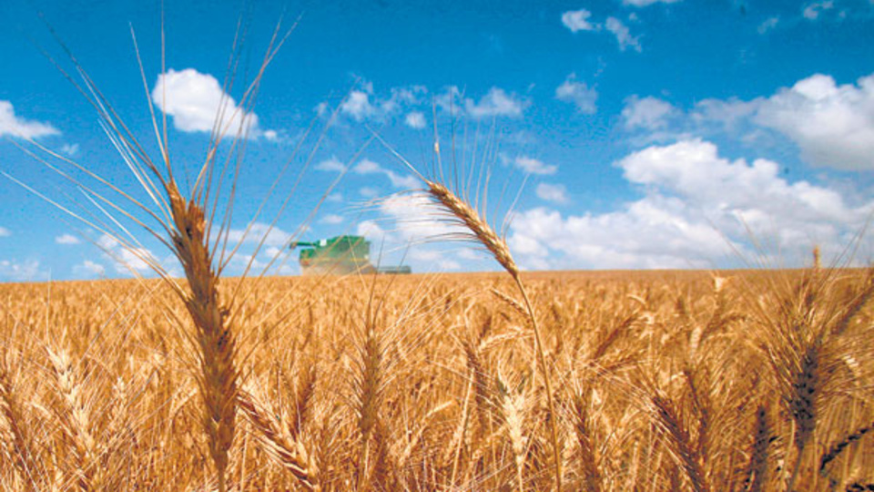 Los productos agropecuarios subieron 31,9 por ciento en doce meses.