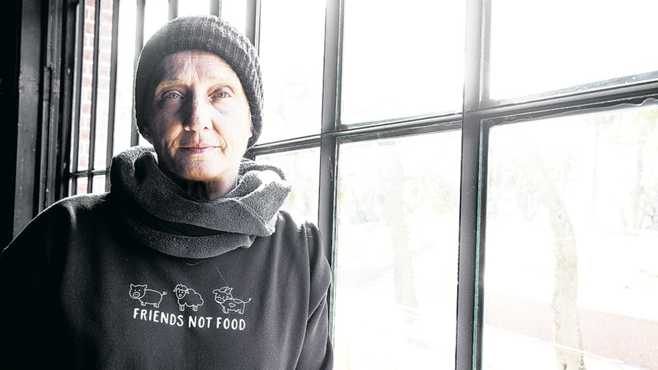 Los Amigos No Se Comen Entrevista A Liliana Felipe Pagina12 se comen entrevista a liliana felipe