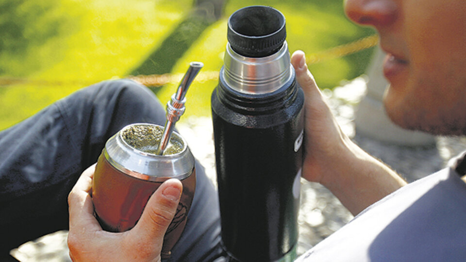 Además de rico, trae grandes beneficios para la salud.