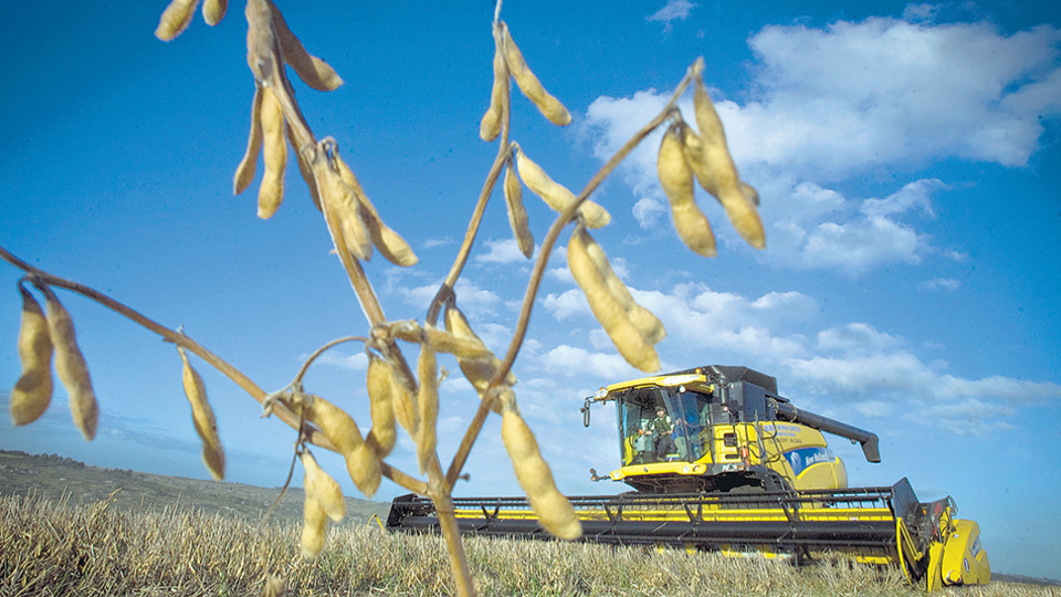âNo se sale apelando a un destino prometidoâ, afirman los de CRA.