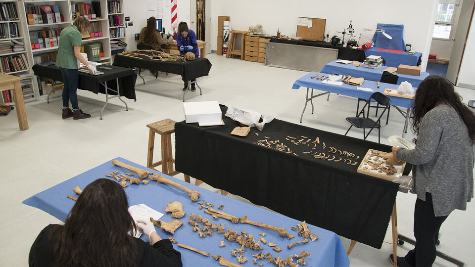 En el Equipo Argentino de Antropología Forense trabajan antropólogos, arqueólogos, médicos, biólogos y genetistas.