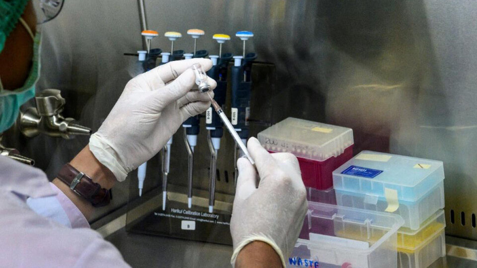 whatsapp-20image-202020-05-28-20at-2018-