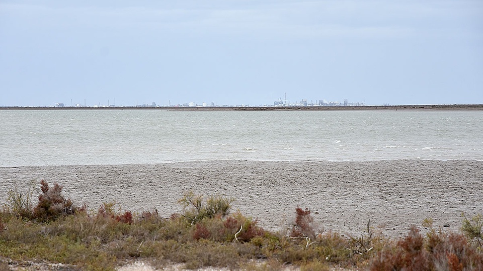 Creimer indicó cómo debería hacerse el registro en el lugar donde fue hallado el cuerpo. (Fuente: Télam)