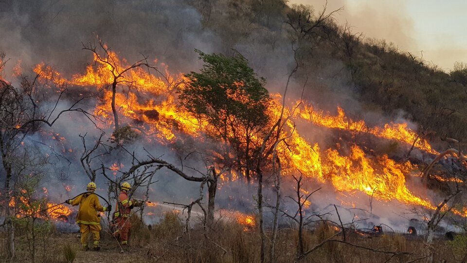 Representantes de la Ley de Incendios |  …