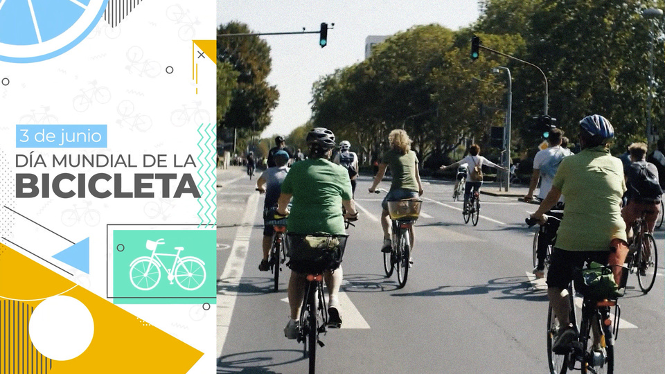 Día Mundial de la Bicicleta | Hoy 3 de junio se celebra en todo el mundo | Página12