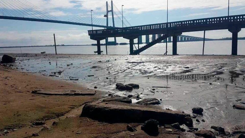 Fuerte bajante del río Paraná en Entre Ríos | Serios problemas para la reproducción de los peces y la circulación de embarcaciones | Página12