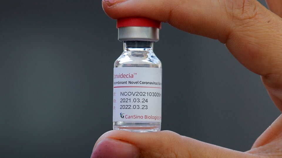 CanSino confirmed that vaccines could arrive in …