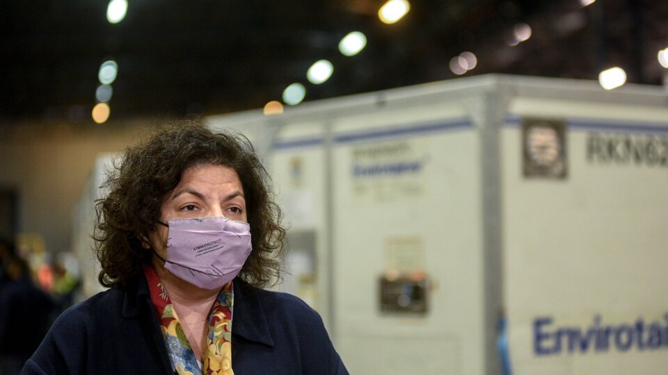 Coronavirus: Carla Vizzotti clarified that there is no date …