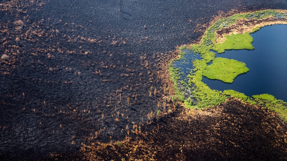 Incendios Forestales El Humo Provocado En Siberia Llega Al Polo Norte