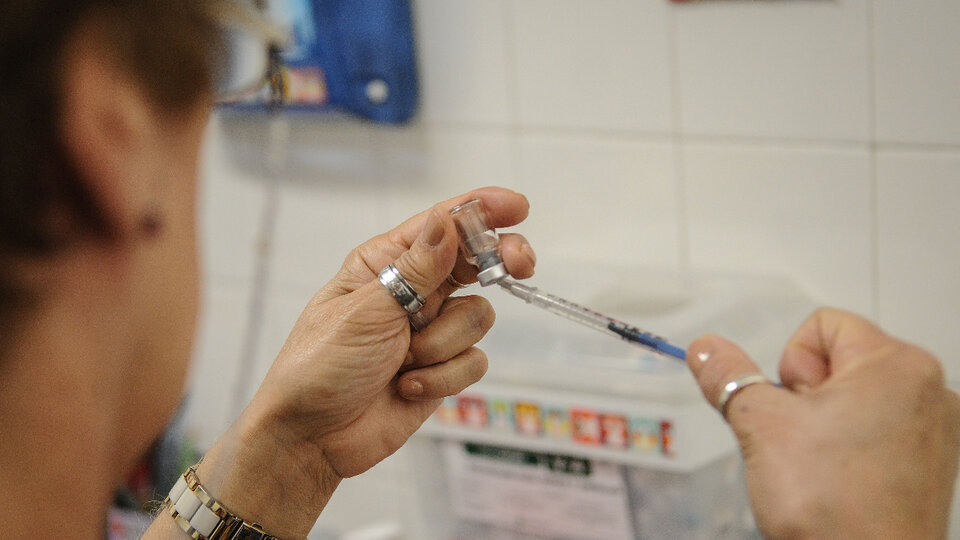 A group of Argentines is working on a triple vaccine for the coronavirus, influenza and respiratory syncytial virus |  Fernando Polack confirmed it