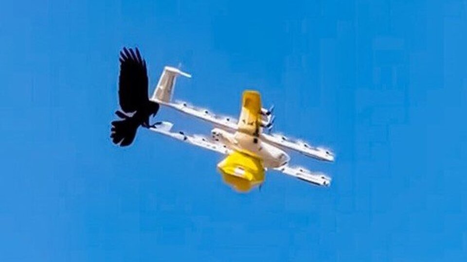 Photo of AUSTRÁLIA: Dodávka dronov zastavila svoje služby v Canberre po zasiahnutí vtákov