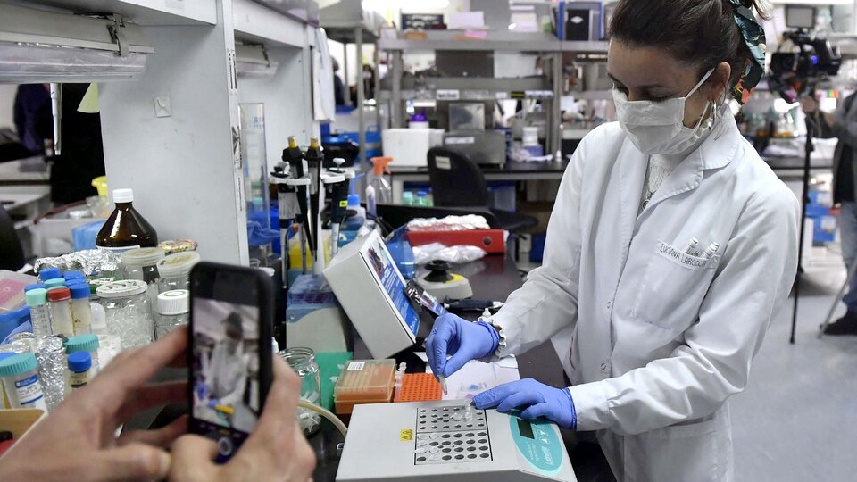 El Conicet incorporará a 30 científicos repatriados | Investigadores e investigadoras que regresaron al país post thumbnail image