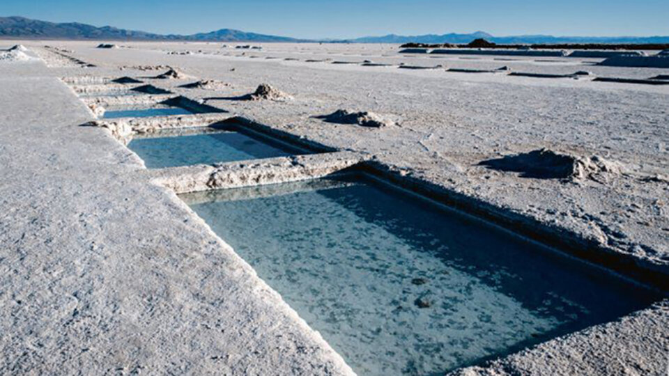 “Technology is far more valuable than having lithium” | The role of the country in the electrification of transport