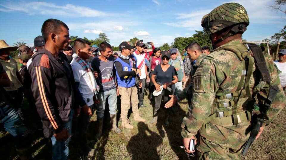 Colombia: Coca-Cola farmers retain about 180 soldiers who destroyed crops |  General Omar Zebul Veda condemned the “abduction” of his troops.