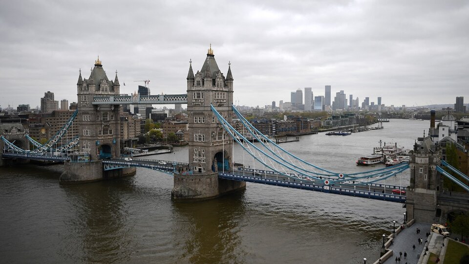 Poisonous Sharks, New Residents of the River Thames |  They found seahorses and seals