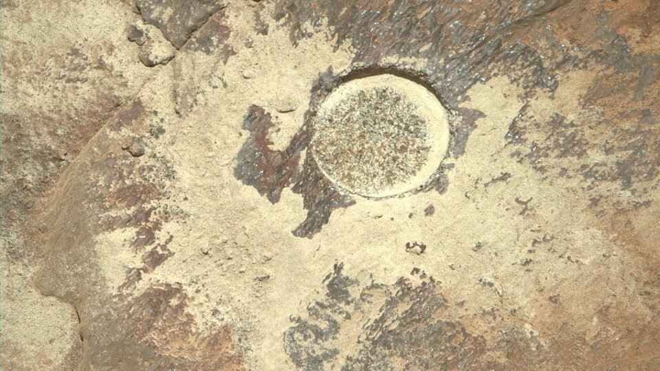 Die erstaunliche Entdeckung der Ausdauer auf dem Mars |  „Etwas, das noch nie jemand gesehen hat“