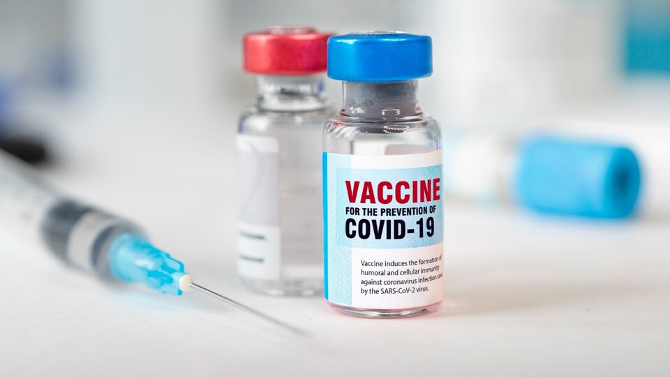 Coronavirus: they test a new vaccine that looks for immunity by T lymphocytes |  The first results are encouraging