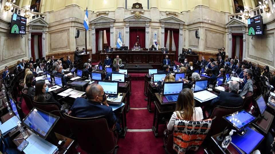 Senado: La última sesión con mayoría propia del Frente de Todos | Juran los 24 legisladores electos y habrá debate en el recinto