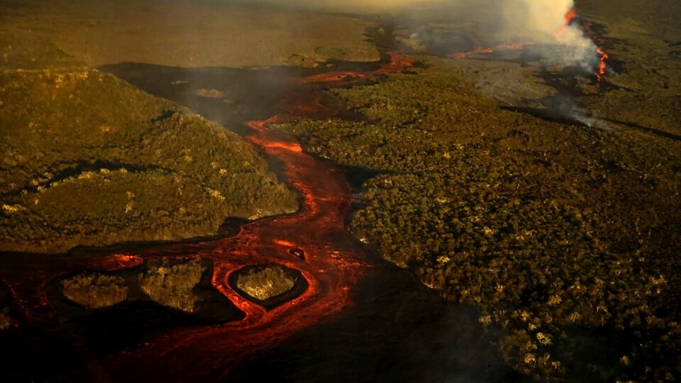 Wolf volcano erupts in Galapagos |  Islands that allowed Charles Darwin to develop the theory of natural selection and evolution