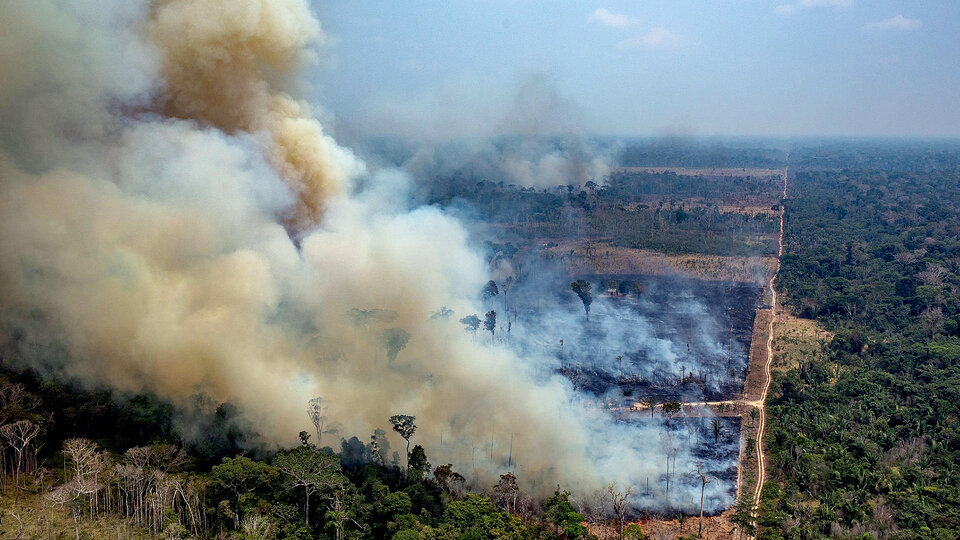 Brasil: devastación ambiental | Opinión