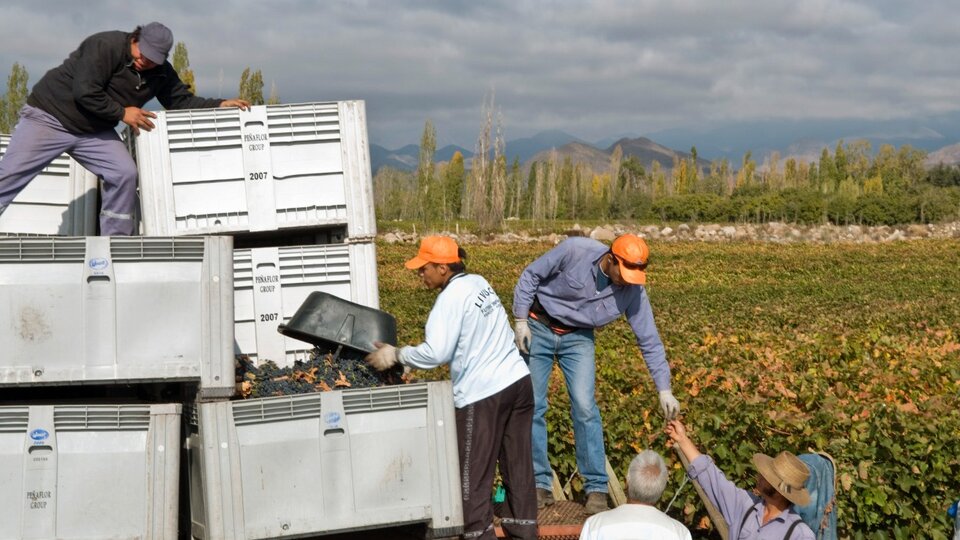 Line of credit for wine SMEs |  Promoted by Agriculture, Production and the government of La Rioja