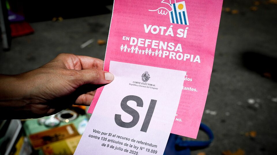 Il referendum in Uruguay: cosa si vota domenica, cos’è la LUC e cosa dicono i suoi articoli |  Introdotta la controversa legge del governo di Lakal Po per governare le urne