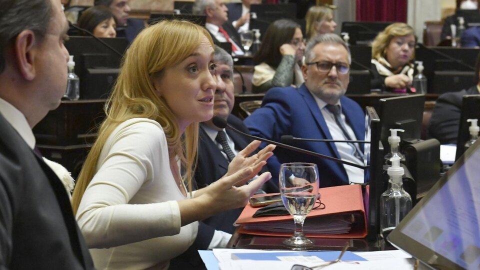 Senado: Una legisladora se levantó a izar la bandera y le ocuparon la banca | La maniobra de JxC contra una aliada del oficialismo