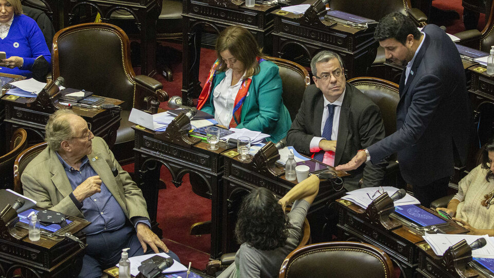 Congreso: El turno de la renta inesperada y el fondo para cancelar la deuda con el FMI | El Frente de Todos apura la agenda parlamentaria en Diputados 