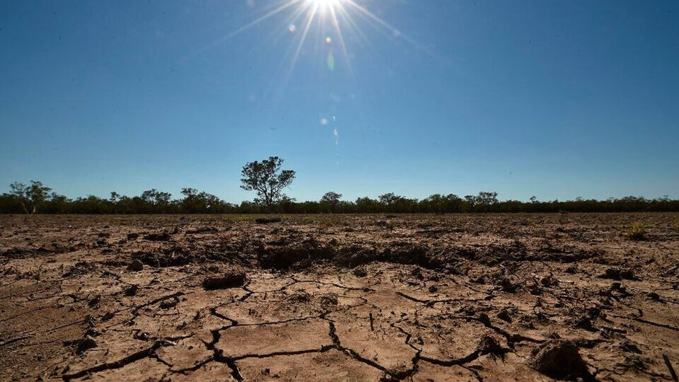 Lanzan una consulta pública para la Estrategia de Acción para el Empoderamiento Climático | Se extenderá hasta el 21 de julio